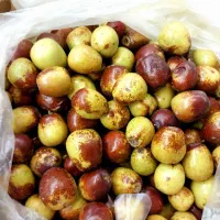 عناب تازه،سبزی تازه