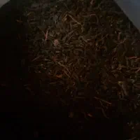 چای ایرانی