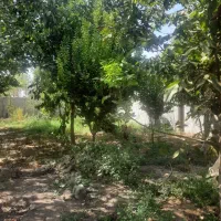 ۲۶۰ متر زمین باغ با انشعابات زعفرانیه / اقبالیه