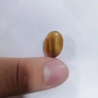 چشم ببر