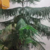 مطبق آپارتمانی  ۷طبقه