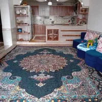 جنگل‌ابر