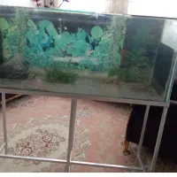 آکواریم