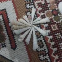 صدف و مرجان آکواریوم