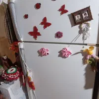 یخچال فریزر دو درب