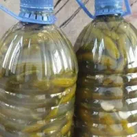 خیارشور