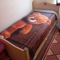 دو عدد تخت مارک اپادانا