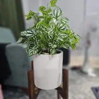 گل مصنوعی