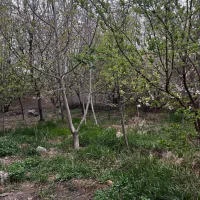 فروش-زمین-برای-سرمایه-گذاری-با-موقعیت-مناسب