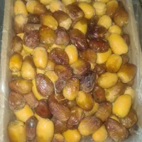 عرضه انواع خرمای ربی . هلیله ای.زاهدی