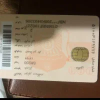 موتور همتاز ۲۰۰ شکاری