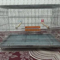 قفس