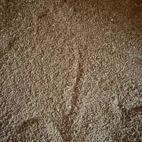 گندم ریز  مخصوص کبوتر و مرغ وخروس