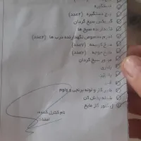 کباب پز|اجاق گاز و لوازم برقی پخت‌وپز|تهران, فاطمی|دیوار