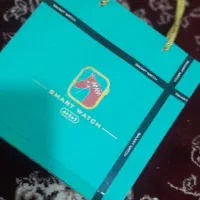 ساعت هوشمنداپل واچ