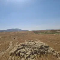 کاه|لوازم جانبی حیوانات|کوهدشت, |دیوار