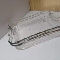 مرغ خوری بزرگ نو