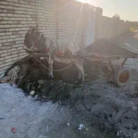 الاغ نر|حیوانات مزرعه|کاشان, فین بزرگ|دیوار