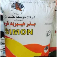 فروش عمده بذر سیمون سایز LF