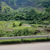 مسافر مشهد  کسی بود خبر بده
