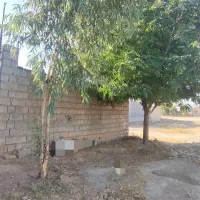 پلاک مسکونی