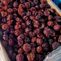 کارتنی و فله ای
