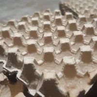 استخدام نیرو خانم