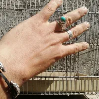 قفس سهره 5تا 2 میلیون