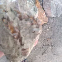 رگ طلاه