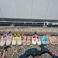 تعدادی کفش