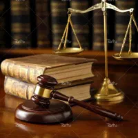 وکیل دادگستری و کارشناس ارشد حقوق تجارت بین الملل