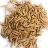 چلتیک چیتاب خوش طعم