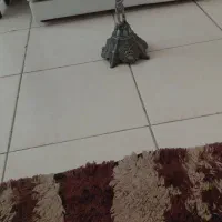 شکلات خوری