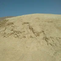 کاه دیم‌کرمانشاه