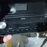 ظبط