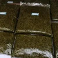ترش واش قورمه شمالی