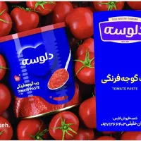 استخدام بازاریاب در پخش سراسری دلوسه