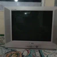 تلویزیون