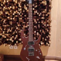 گیتار الکتریک Ibanez rg 421 آیبانز