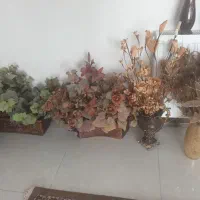گل و گلدان های شکیل و زیباودرخچه بزرگ