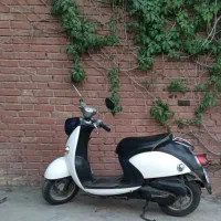 پاکشتی رنگ خاص