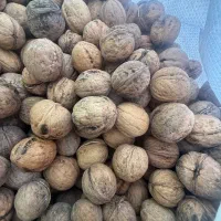 درخواست ویزیتور