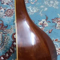 سه تار|سازهای سنتی|تهران, امام زاده عبدالله|دیوار