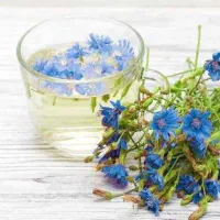 عرق کاسنی وشاه تره شهریار