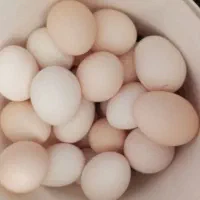 تخم مرغ محلی