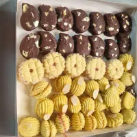استخدام نیروی کار خانم وآقا