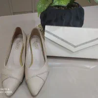 کیف کفش مجلسی