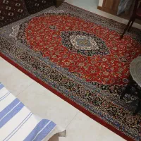 فرش|فرش|اصفهان, شاهزید|دیوار