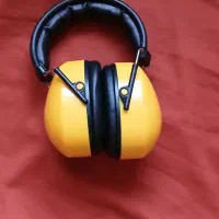 روگوشی یاصداگیر