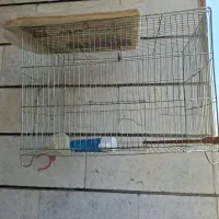 خانگی